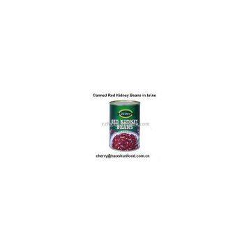 Canned red kidney bean in brine from factory directly