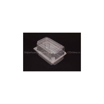 Transparent plastic Clamshell Packaging food grade