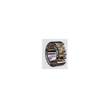 Cylindrical Roller Bearing