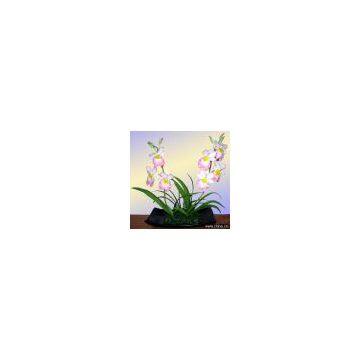 Miltonia Orchid FROM POLYMER CLAY