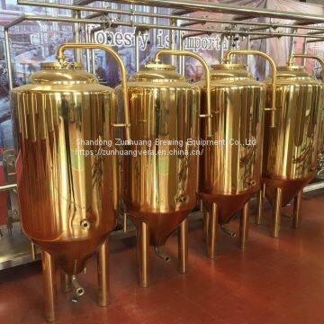 300L/ 2BBL Titanium Plating Stainless Steel Beer Fermentation Tank Beer Fermenter