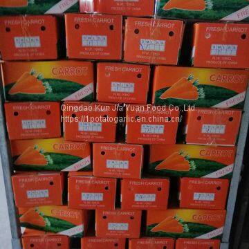 Fresh Carrots photo-3