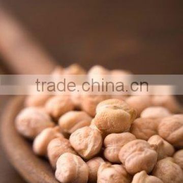 CHICKPEAS