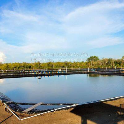 Geomembrane for Fish Farming Use in Italy photo-5