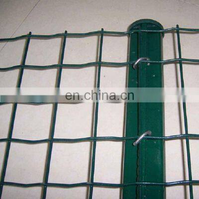 PVC Coated Welded Wire Mesh Garden Wire Mesh Fence High Security Fence/Holland Wire Mesh