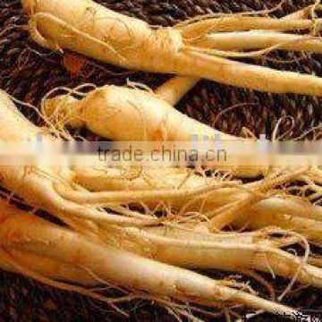 compound ginseng massage oil