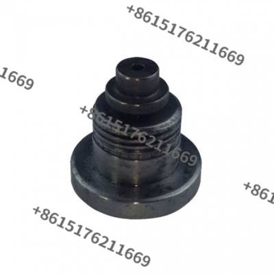 Diesel Engine Spare Parts Fuel Injection Pump Delivery Valve photo-4