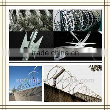 razor barbed wire/concertina wire for sale(reasonable price)