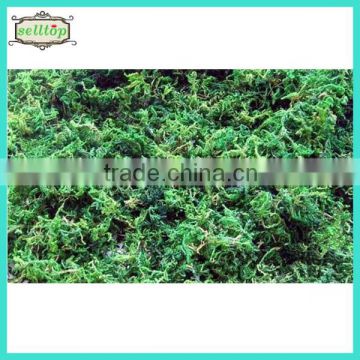 Hot sell artificial moss artificial soil for artificial plants                        
                                                Quality Choice