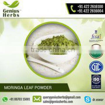 Natural & Hygenic Moringa Leaf Powder For Bulk