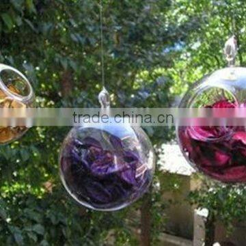 Hanging Ball Shaped Glass Vase, Beautiful Home Decoration Vase,