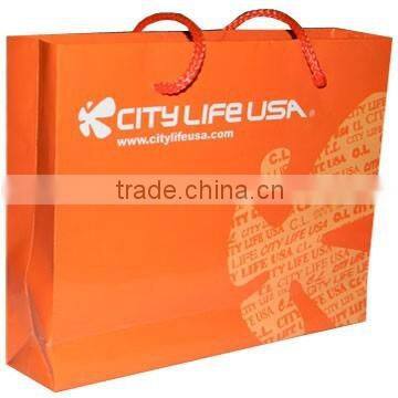 Luxury glossy laminated paper bag