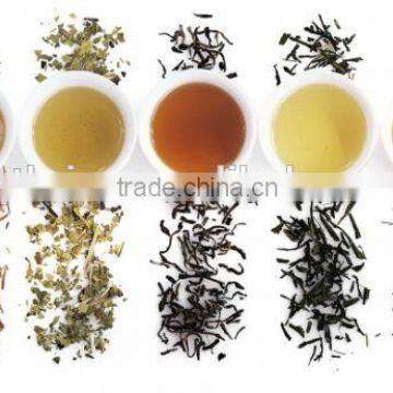 Black Currant Tea Rolled Machine,Tea Leaf Steaming Machine,Tea Cylinder Water-removin Machine