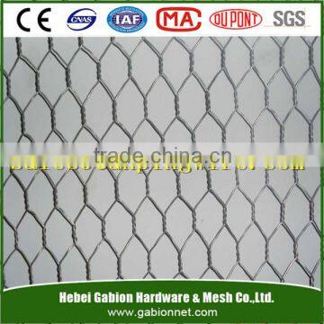 Galvanized Hexagonal Wire Netting/ hexagonal wire mesh