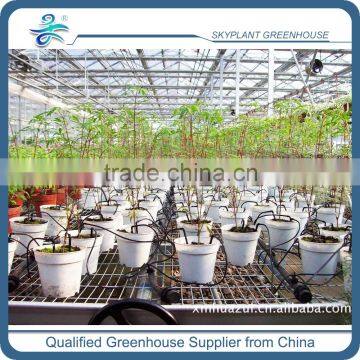 Greenhouse Drip Irrigation System for Plant Pot Quality Choice photo-3