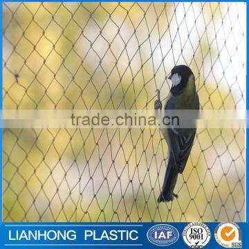 Agricultural anti bird net mesh,10M x 4M netting for plants garden, plastic agriculture anti bird netting for sale