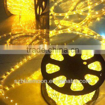 Round 2 wires led rope light