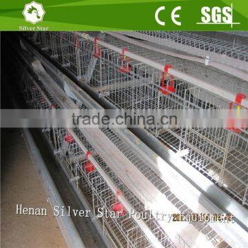 Poultry layer chicken use automatic wire mesh chicken cage system