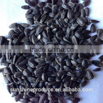 SUNFLOWERS SEEDS