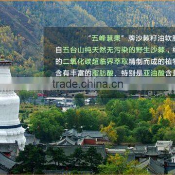 Seabuckthorn Fruit Oil/Food Grade/Medicine Grade/Cosmetic Grade