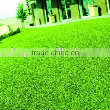 Garden decorative grass