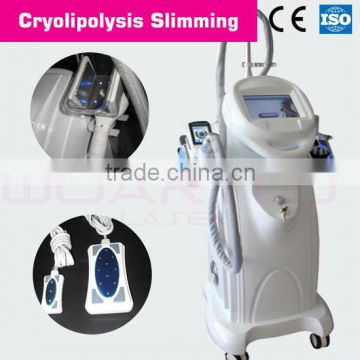 Pro Cryolipo --4 Laser Plates Laser Liposuction System