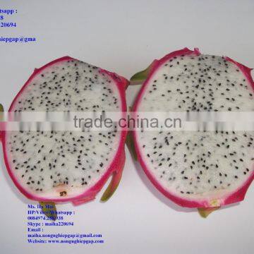 100% Natural Fresh Dragon Fruit from Vietnam-Ms Ha 84974258938