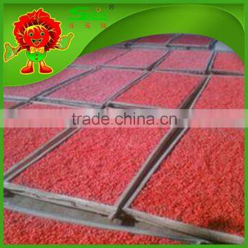 Chinese dried wolfberries wholesale goji berries