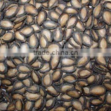 chinese watermelon seeds delicious new crop