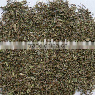 thyme