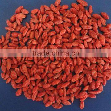 Ningxia Goji Berry