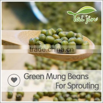 Chinese High Quality green mung bean production,price for green mung beans