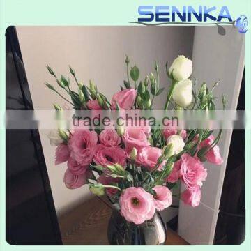 2016 hot selling fresh cut flowers purple eustoma purple flower