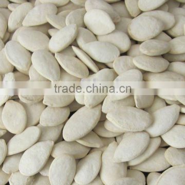 Roasted and Salted Snow White Pumpkin Seeds 11cm 13cm