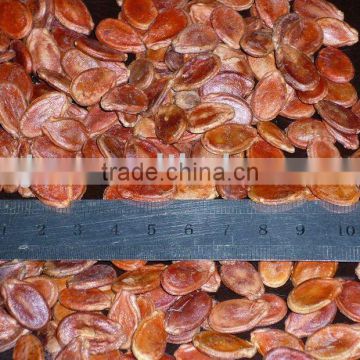 New Crop Red Watermelon Seeds