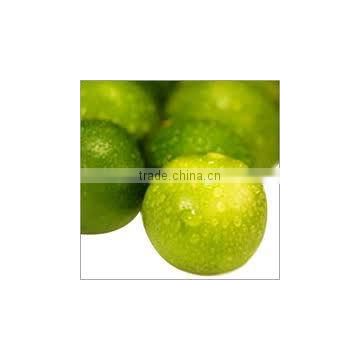 Lime Oil exporters.