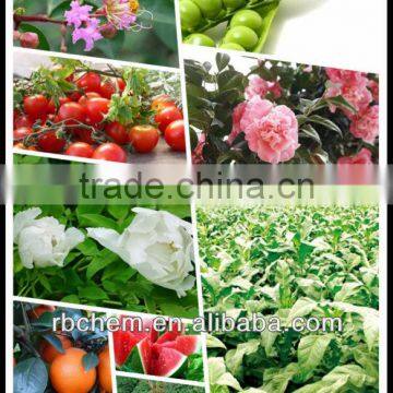 plant growth hormones brassinolide