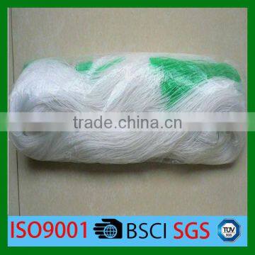 Green plastic support plant netting