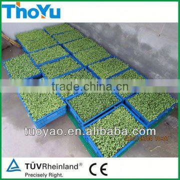 THOYU Brand Salable Plastic Seed Germination Tray with Best Price(Mob:+86-15903675071)