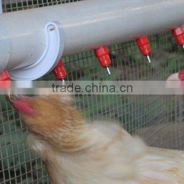 Main Product! Poultry Equipment Farm Machinery Farm Equipment photo-3