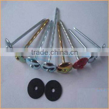 Top Quality Double Point Roofing Nails Trusted Chuanghe Suppliers From Com photo-2