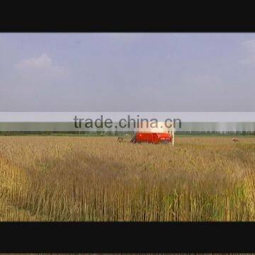COMBINE HARVESTER FOR RICE, WHEAT, RAPESEED, BARLEY AND OTHER GRANULAR CROP photo-3