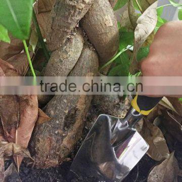 4 Piece Softouch Garden Tool Set Ergonomic Gardening Tool Set - Made From High Quality Anti-corrosion Aluminium photo-4