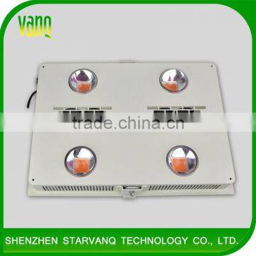 GLIB 600W COB led grow light for black orchid plant