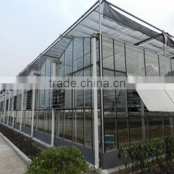 Hot Sale Large Size Multi-span Commercial Glass Covering Greenhouse photo-6