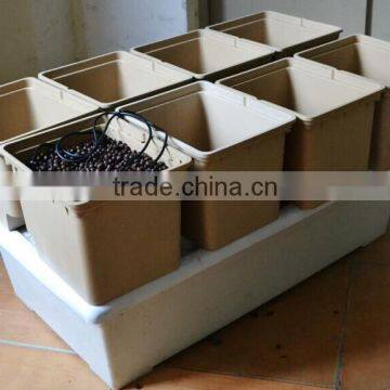 Aeroponic Hydroponic Lettuce Bato Bucket Dutch Bucket Systems