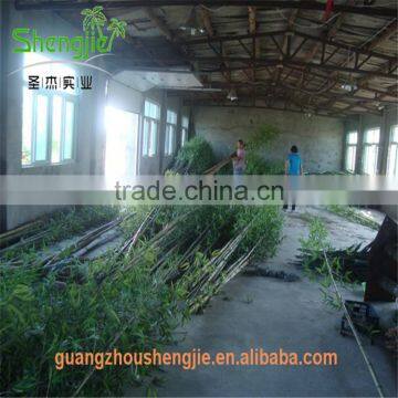 SJLJ013369 Artificial Bamboo Plant / Fake Plastic Bamboo Stick / Artificial Plant for Garden Fence Decoration photo-2