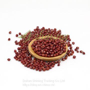 Small Size Pearl Style Adzuki Red Beans Aduki Beans