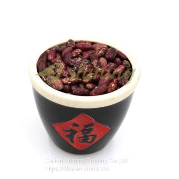 2018 New Crop High Quality Adzuki Bean Price