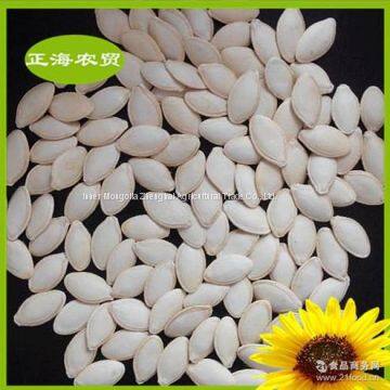 Pumpkin Seeds Shine Skin photo-2